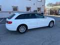 Audi A4 2.0 TDI Weiß - thumbnail 16