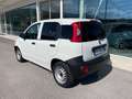 Fiat Panda Van 1.3 MJT 80cv Pop + IVA Bianco - thumbnail 6