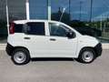 Fiat Panda Van 1.3 MJT 80cv Pop + IVA Bianco - thumbnail 2