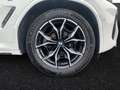 BMW X4 xDrive20d M Sport|AHK|Head-Up|HiFi|PA Weiß - thumbnail 5