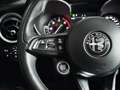 Alfa Romeo Stelvio 2.2 Turbodiesel 160 CV AT8 RWD - thumbnail 14