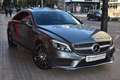 Mercedes-Benz CLS 350 350d Aut. Gris - thumbnail 2