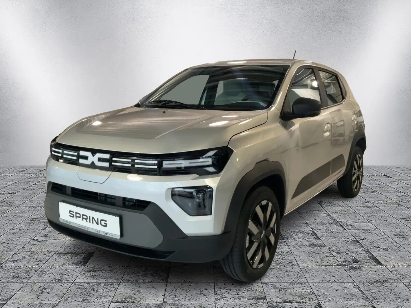 Dacia Spring Expression 65 Electric Gris - 1