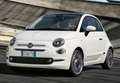 Fiat 500C 500Ce 70Kw Red - thumbnail 1