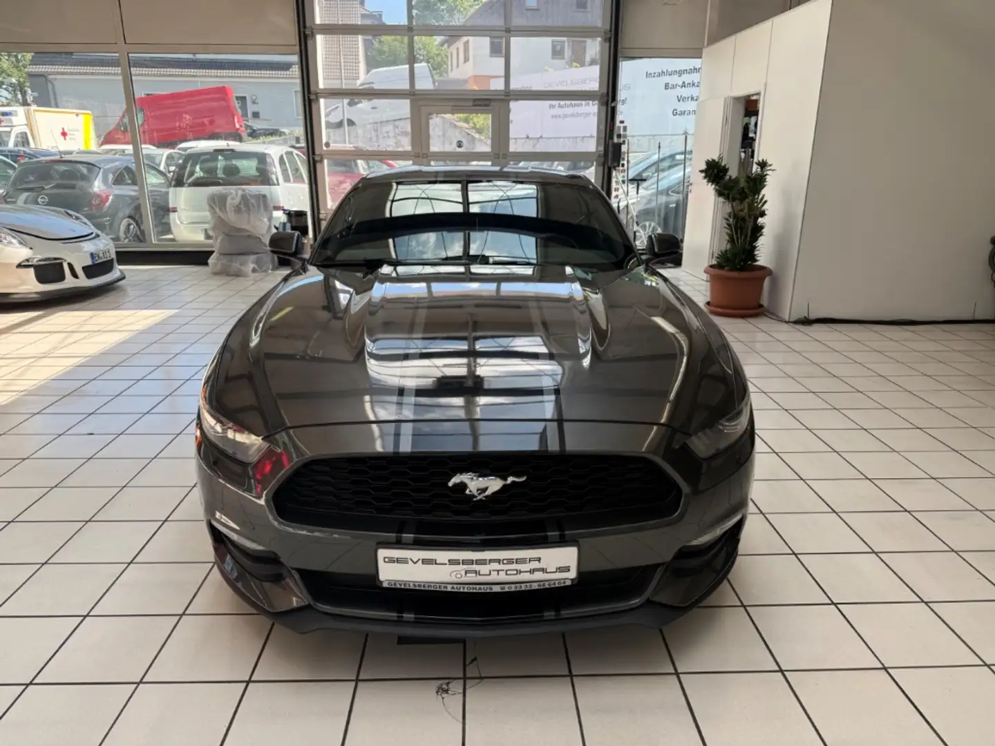 Ford Mustang 3.7 V6 Coupe Szürke - 2