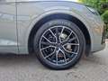 Audi SQ5 TDI quattro Grau - thumbnail 16