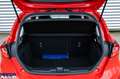 Ford Fiesta Fiesta 5p 1.1 Titanium Gpl 75cv Rouge - thumbnail 8