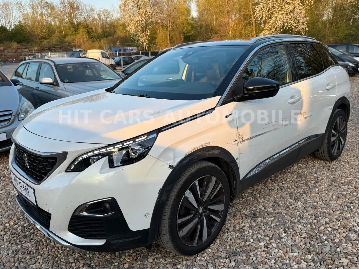 Peugeot 3008 GT Blanco - 1