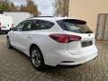 Ford Focus SW 1.5 Ecoblue Business 120cv Tagliandata E6d Bianco - thumbnail 5