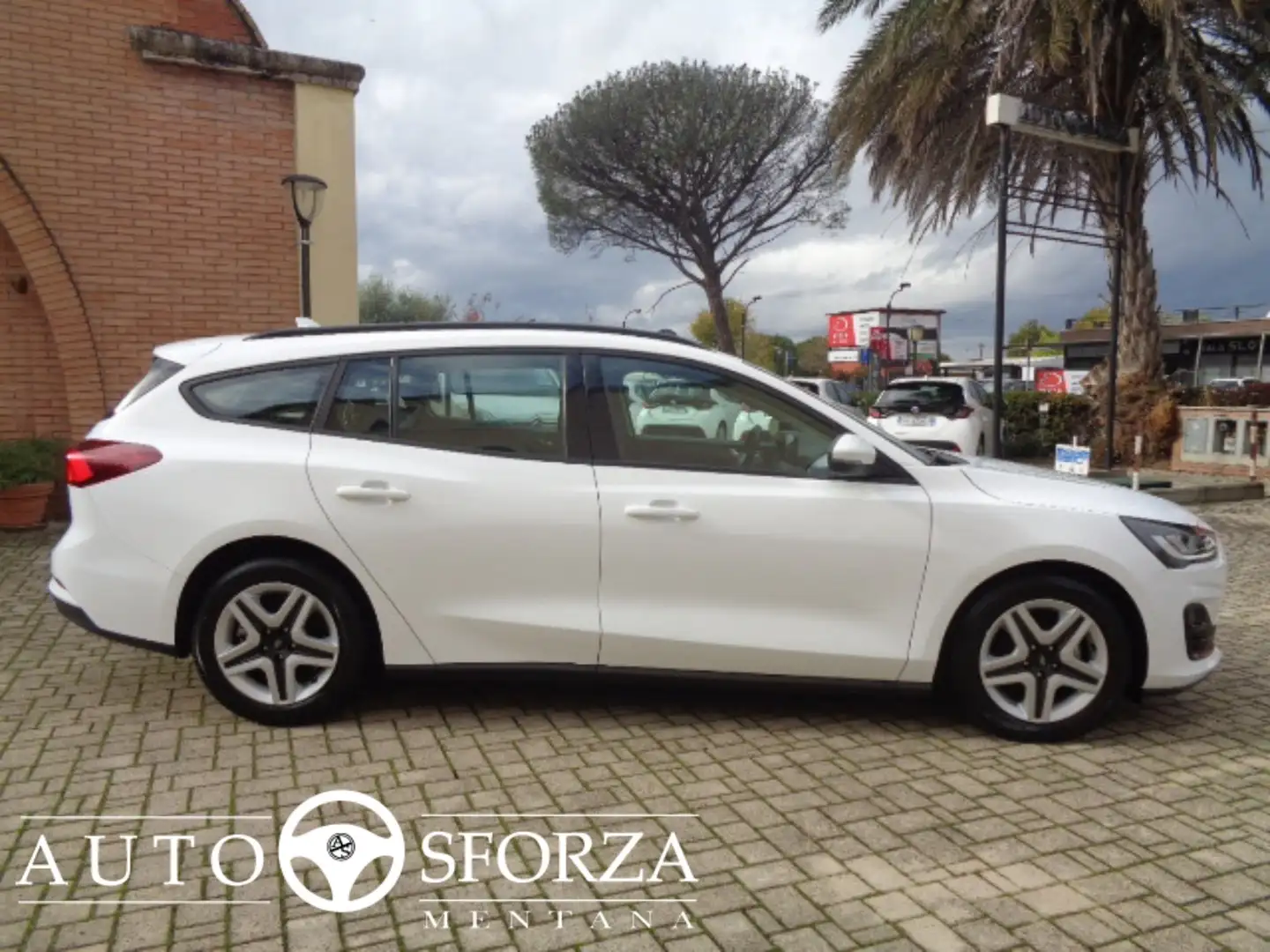 Ford Focus SW 1.5 Ecoblue Business 120cv Tagliandata E6d Bianco - 1