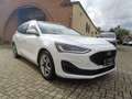 Ford Focus SW 1.5 Ecoblue Business 120cv Tagliandata E6d Bianco - thumbnail 2