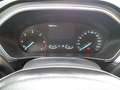 Ford Focus SW 1.5 Ecoblue Business 120cv Tagliandata E6d Bianco - thumbnail 12