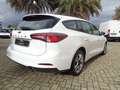 Ford Focus SW 1.5 Ecoblue Business 120cv Tagliandata E6d Bianco - thumbnail 6