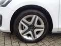 Ford Focus SW 1.5 Ecoblue Business 120cv Tagliandata E6d Bianco - thumbnail 7