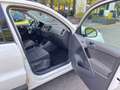 Volkswagen Tiguan 1.4 TSI 122 CV Trend & Fun BlueMotion Technology Bianco - thumbnail 9