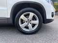 Volkswagen Tiguan 1.4 TSI 122 CV Trend & Fun BlueMotion Technology Bianco - thumbnail 15