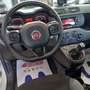 Fiat Panda 1.2 Easy Bílá - thumbnail 7
