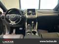 Lexus NX 200t AWD*F-SPORT-ANHÄNGERKUPPLUNG Срібний - thumbnail 11