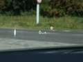 Mazda 6 Sportbreak 2.0 SkyActiv-G 165PK Comfort AUTOM. | H Gris - thumbnail 16