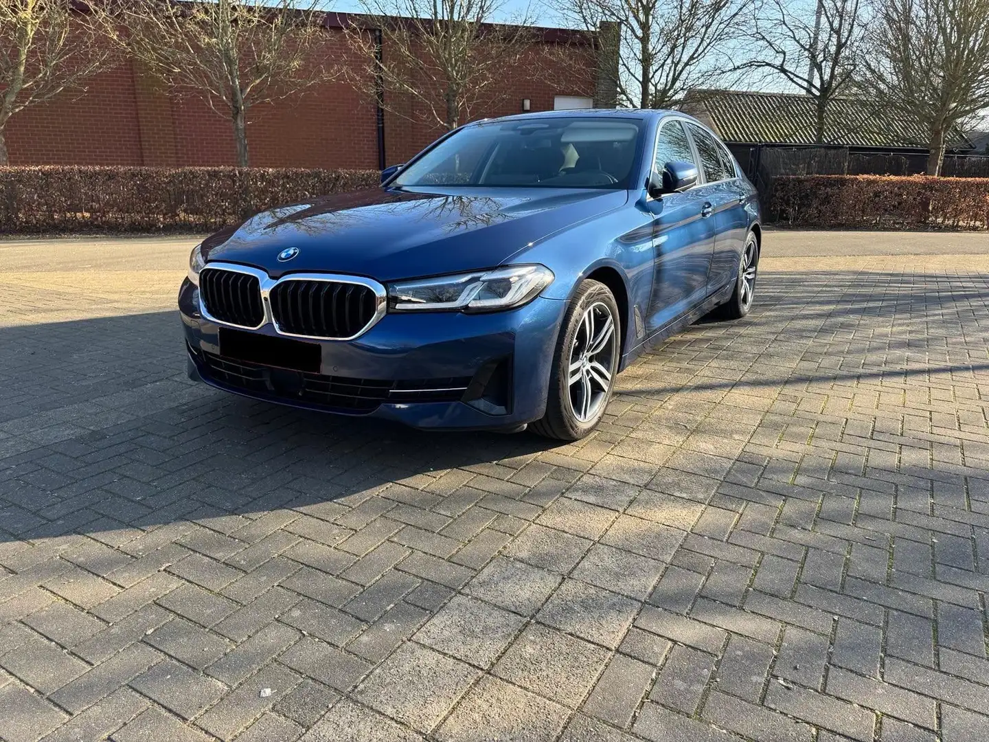 BMW 520 Berline Blauw - 1