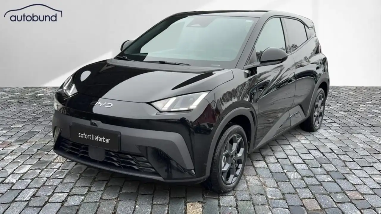 BYD Dolphin Surf 2026