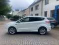 Ford Kuga Individual Weiß - thumbnail 3