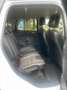 Ford Kuga Individual Weiß - thumbnail 12