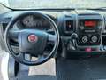 Fiat Ducato 2.3 MJT 140 CV AUTOMATICO MH2 PASSO/TETTO MEDIO Bianco - thumbnail 13