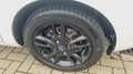 Ford Fiesta 1.5 TDCi 75CV 5 porte Titanium Wit - thumbnail 18