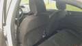 Ford Fiesta 1.5 TDCi 75CV 5 porte Titanium Wit - thumbnail 28