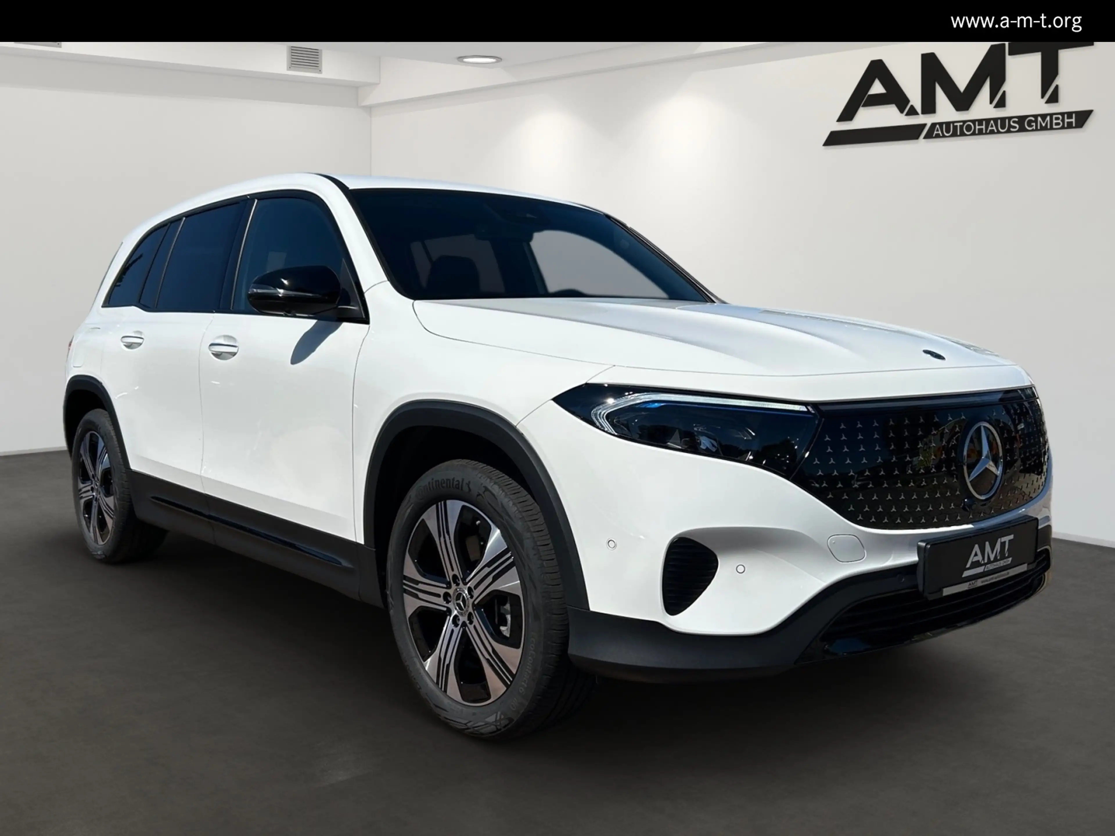 Mercedes-Benz EQB 300 EQB 300 4M FlexB Electric Art DISTRO Lenkradhz LED — photo 2