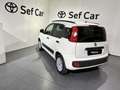 Fiat Panda Panda 1.2 Easy Bianco - thumbnail 5