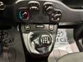 Fiat Panda Panda 1.2 Easy Bianco - thumbnail 14
