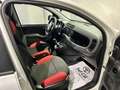 Fiat Panda Panda 1.2 Easy Bianco - thumbnail 12