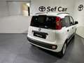 Fiat Panda Panda 1.2 Easy Bianco - thumbnail 4