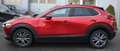 Mazda CX-30 Selection AWD Aut. *NAVI*LEDER*ACC*360CAM* Rot - thumbnail 6