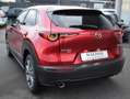 Mazda CX-30 Selection AWD Aut. *NAVI*LEDER*ACC*360CAM* Rot - thumbnail 5