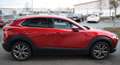 Mazda CX-30 Selection AWD Aut. *NAVI*LEDER*ACC*360CAM* Rot - thumbnail 3