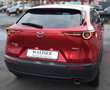 Mazda CX-30 Selection AWD Aut. *NAVI*LEDER*ACC*360CAM* Rot - thumbnail 4