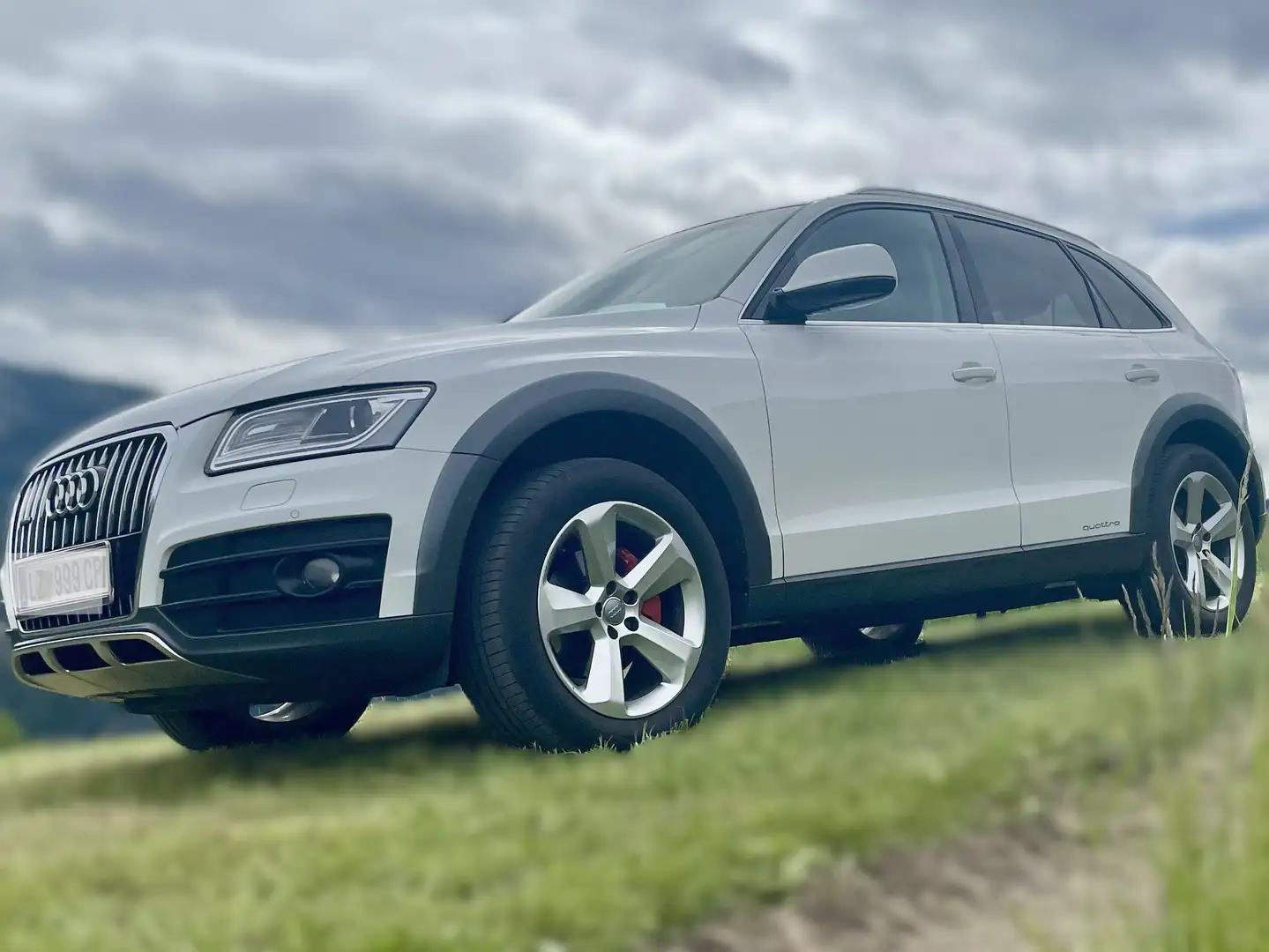 Audi Q5 2,0 TDI quattro S-tronic, Offroad Edition Weiß - 1
