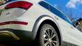 Audi Q5 2,0 TDI quattro S-tronic, Offroad Edition Weiß - thumbnail 4