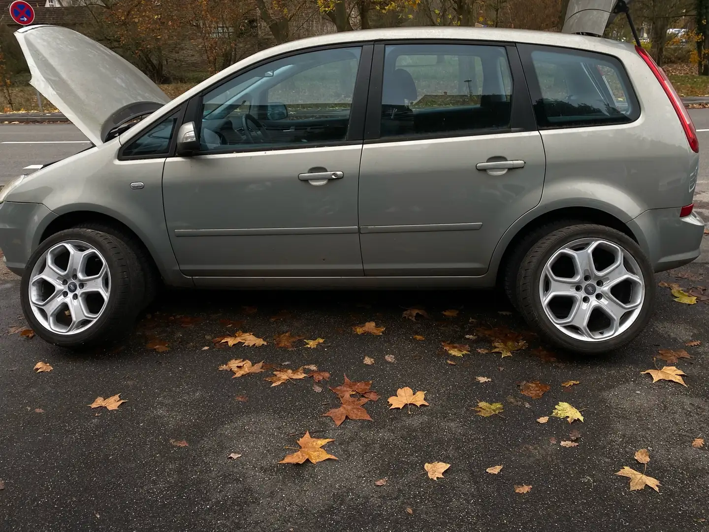 Ford C-Max 2.0 Gris - 1