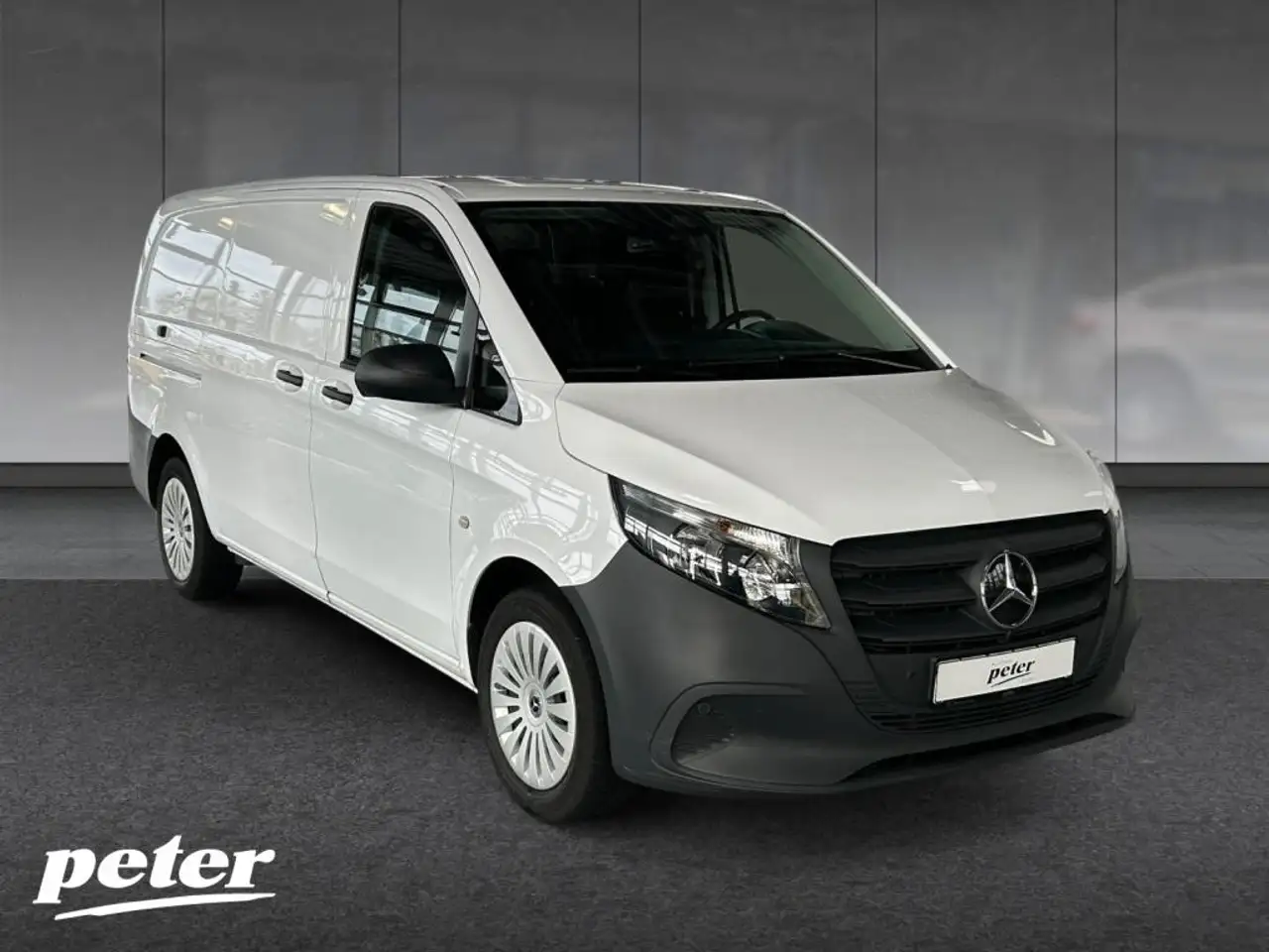 Mercedes-Benz Vito 116 CDI Kasten Lang Rückfahrkamera 5