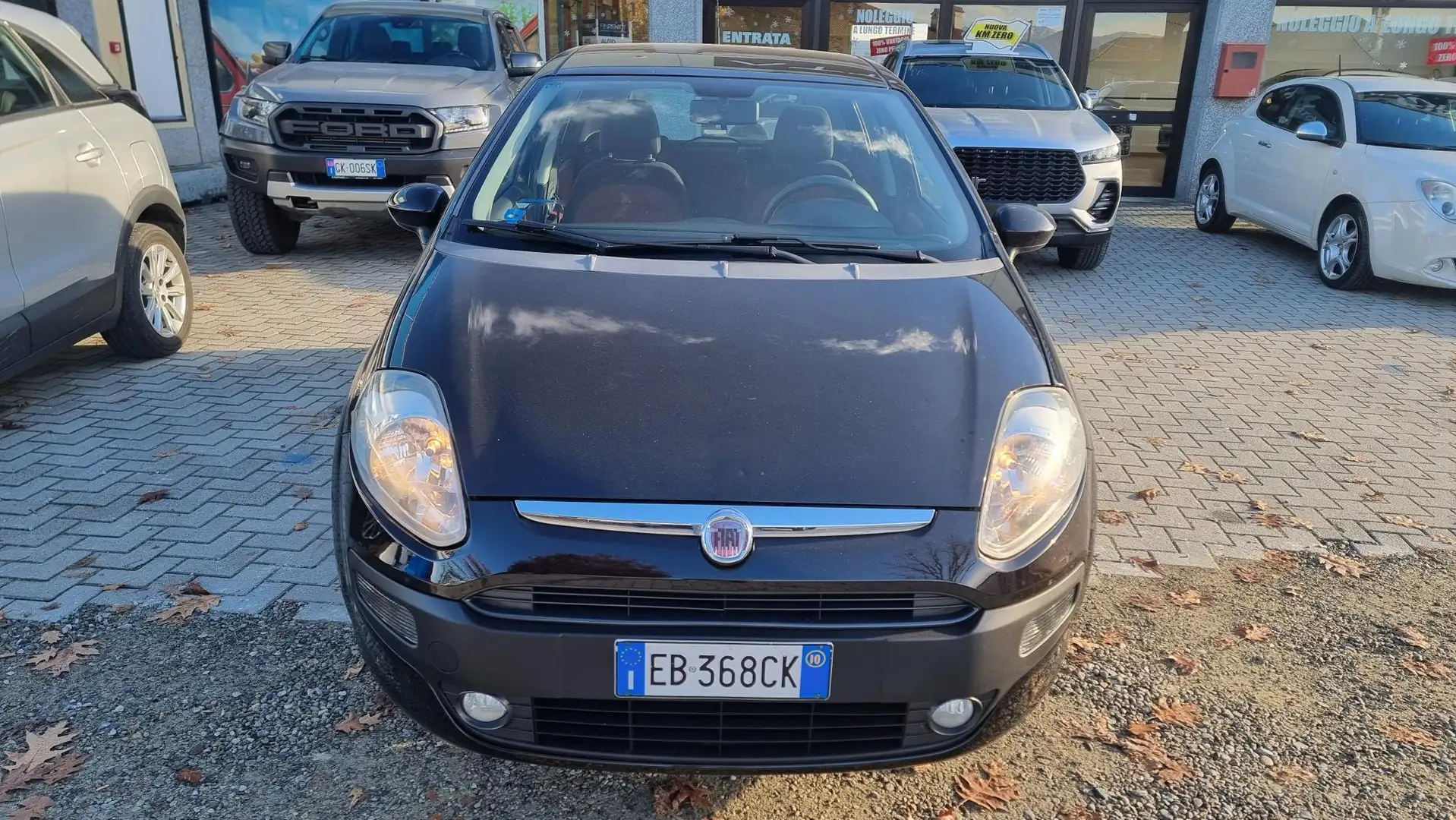 Fiat Punto Evo 5p 1.2 Active 65cv Negro - 2