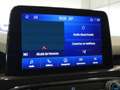 Ford Kuga ST-Line X 2.5 Duratec FHEV Auto Gris - thumbnail 9