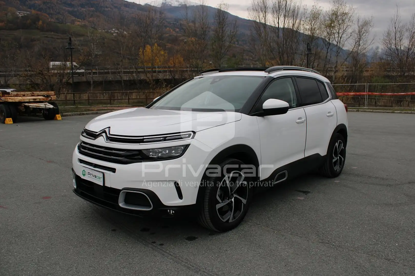 Citroen C5 Aircross C5 Aircross BlueHDi 180 S&S EAT8 Shine Bianco - 1