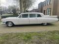 Cadillac Fleetwood LIMOUSINE Serie75 Blanco - thumbnail 30
