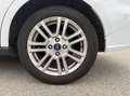 Ford Tourneo Courier Courier 5 1.5 TDCi 100 Titanium Blanc - thumbnail 19