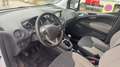 Ford Tourneo Courier Courier 5 1.5 TDCi 100 Titanium Blanc - thumbnail 8
