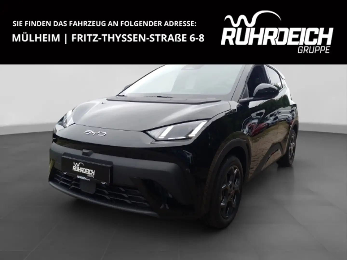 BYD Dolphin Navi Leder Digitales Cockpit 360 Kamera LED Apple Negro - 1